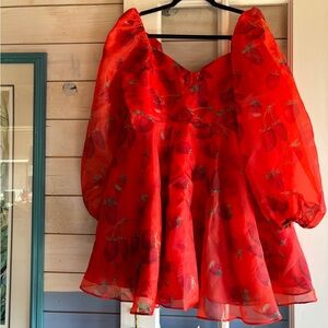 Selkie Like Strawberries Princess Dress